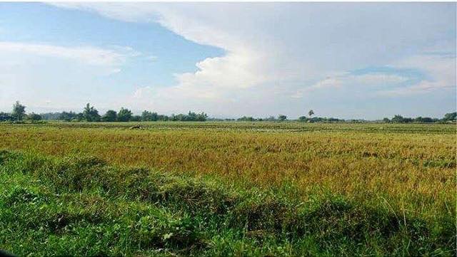 42381552_543494686092038_8643610722443460608_n