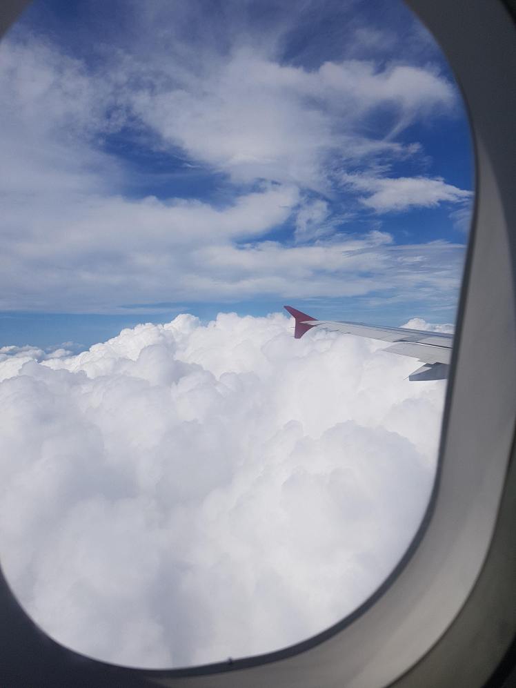 43030753_676444546070597_6928766929830150144_n